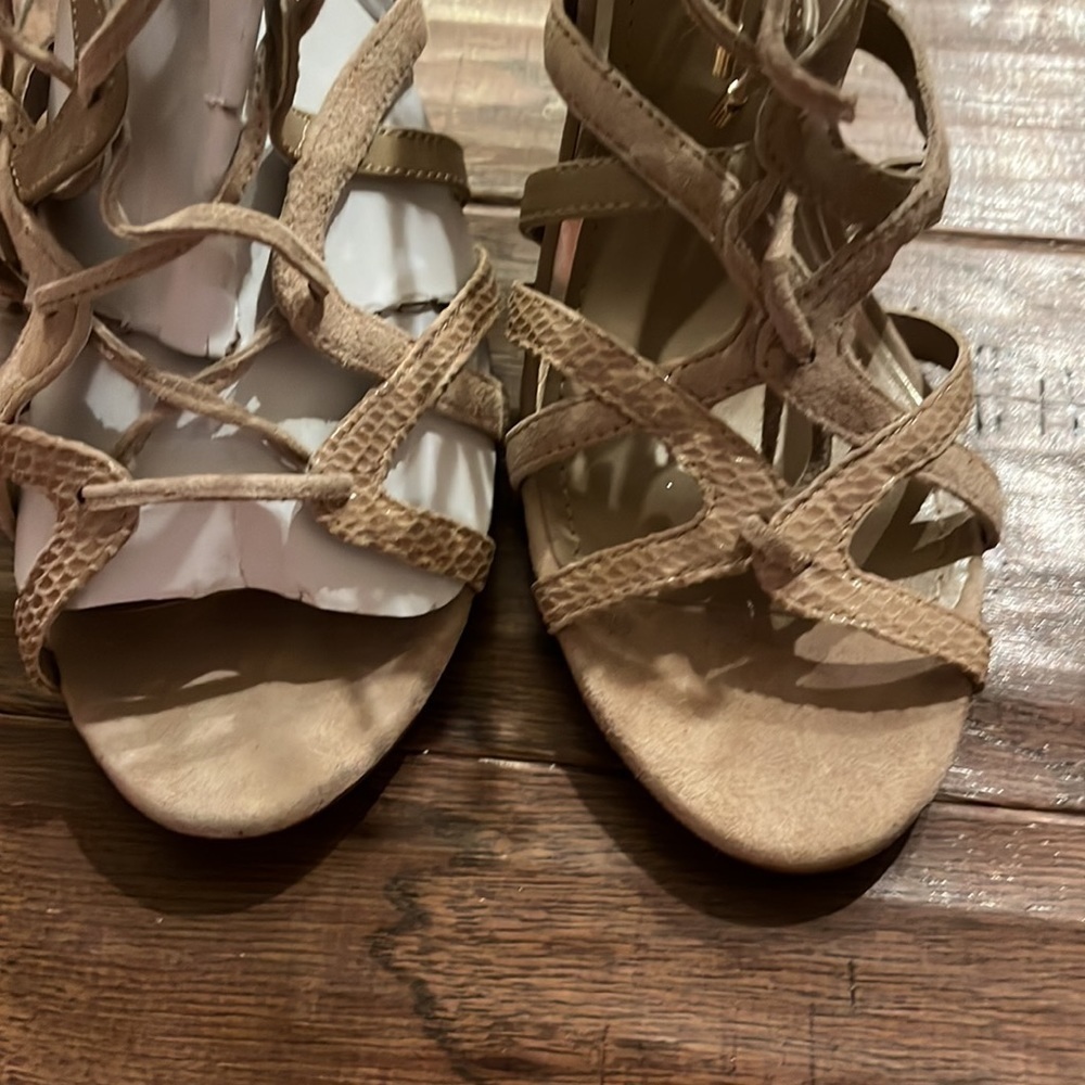 White House Black Market Chayne Gladiator Sandals with Heel Zip - Picture 6 of 7